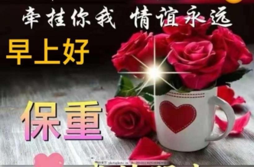 image%3A152207_0