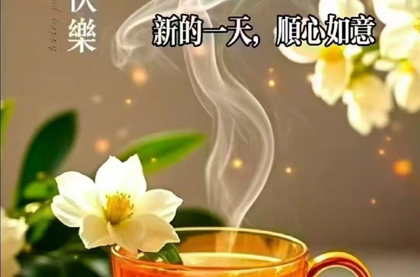 image%3A153411