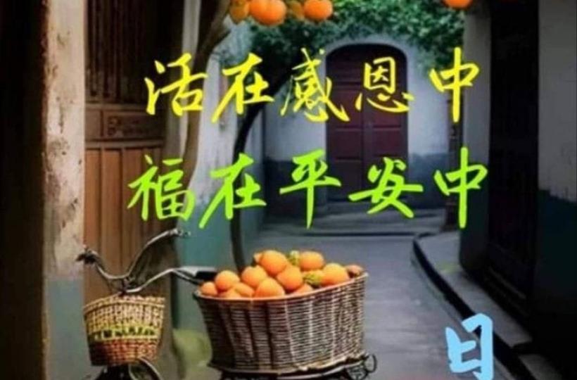 image%3A188866