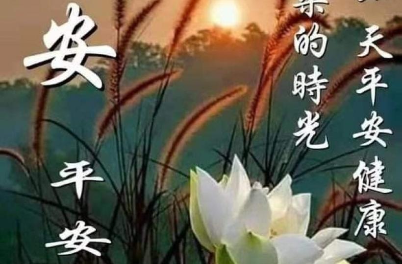 image%3A58642