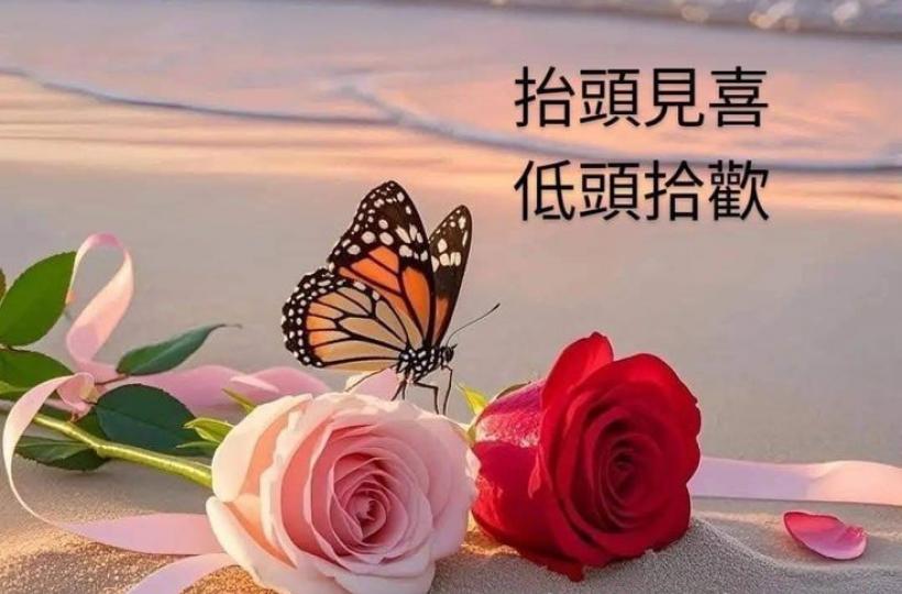 image%3A58729