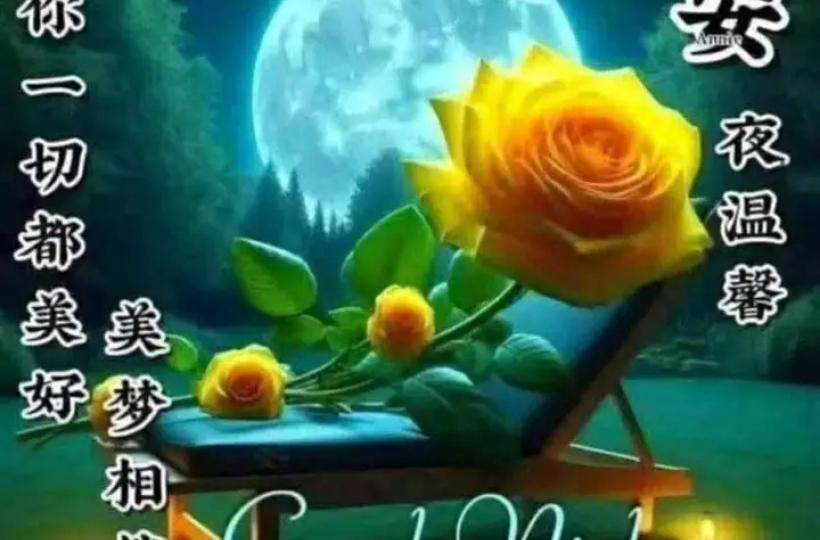 各位晚安.愿你一切都美好...