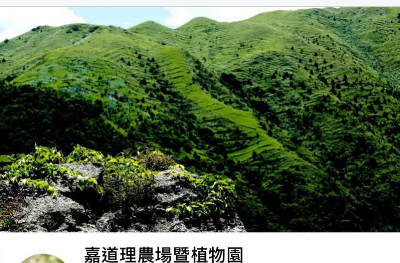 暢遊嘉道農場暨植物園慢步作畫