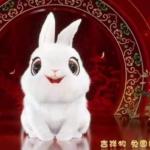 image%3A125667