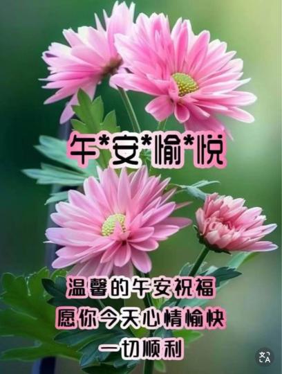 01EA349B-5674-4E27-9F86-ECC3BA983903-56350-000011115E63925A