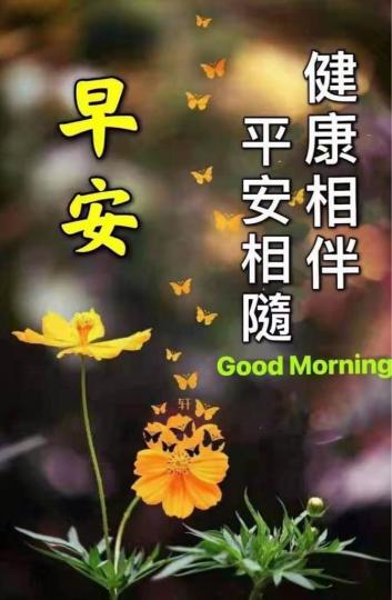 024C2527-EEFC-4FF2-80ED-7A11A919886B-6052-000000A7BC596B31