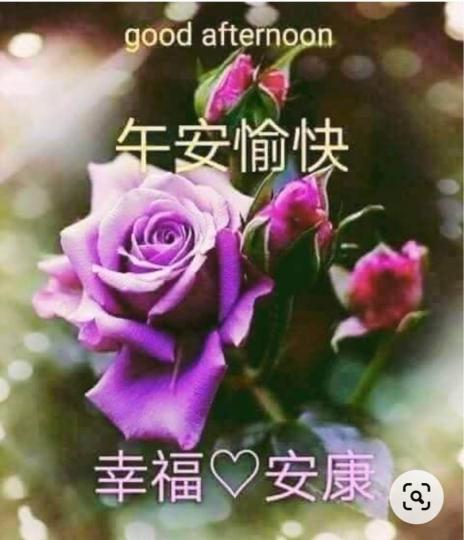 02B6EC84-565D-4A86-85B8-7F9EF90EB7EA-1920-000000F862850B8B