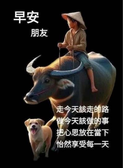 02F8B492-8AB4-4864-97E9-16B260862D70-68484-000012D794597A1E