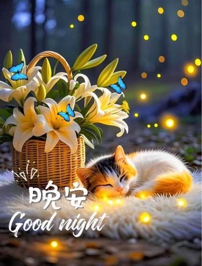 051D371E-1624-42DD-A2A6-5A84DAA1564C-38310-00001A86782627FF