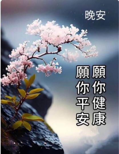 05773775-65A8-4C87-993F-A62F7A96182E-82378-00001316EAC8A228