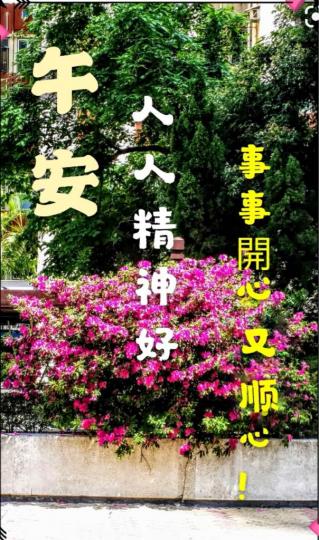 05BE5D66-DA1E-4FC3-AC93-825AADC8A6E8-95520-000015A5037B1039