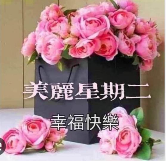 05D840BB-3DA8-4238-8C3E-EB190902729F-4398-000000DB209EEE90