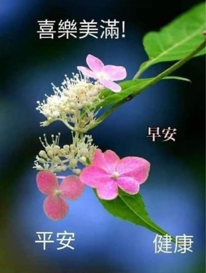 06541709-3A18-46CC-9009-06F0A86B9D17-3988-0000026E3698B1BF