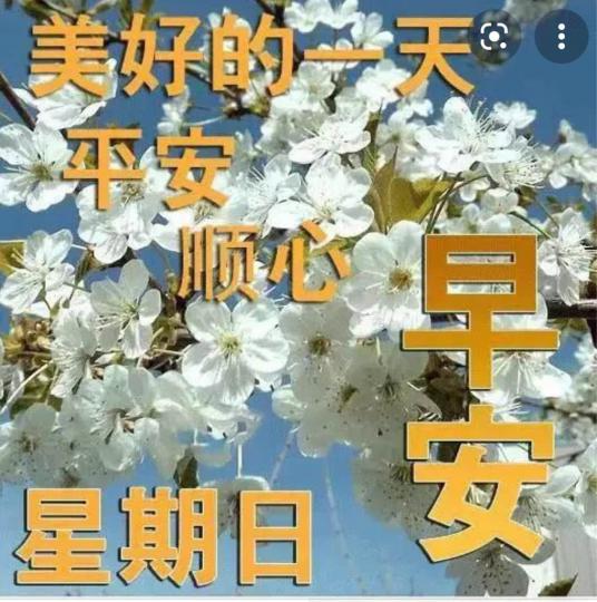 06A294D8-6DFE-44A7-87F0-D785968AD2BF-1386-000000ACB004D534