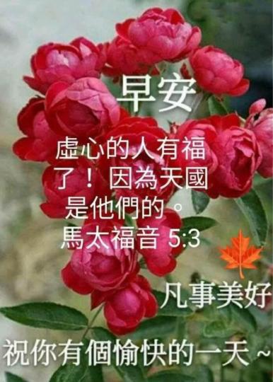 071BF3EB-CF73-48BE-9856-4BD48DB15CDA-3879-000001EF060E6178