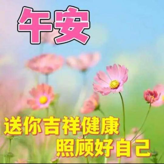 0815C049-7298-4061-8B33-9193A07D472E-1434-000000207773D631