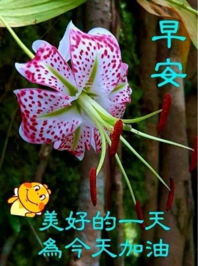 081B5935-21DE-448F-8DBE-1A2DDFAB988C-3446-000001A3E55FF2A8
