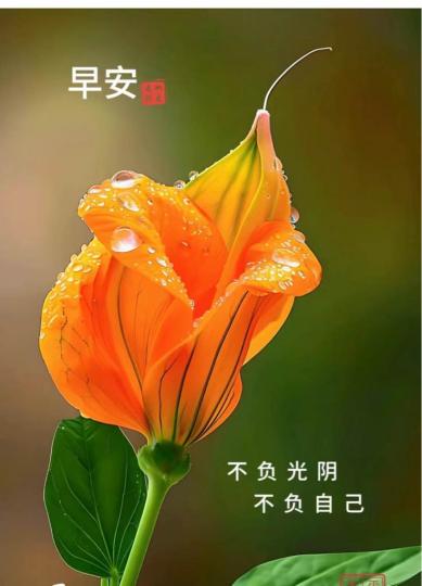 08566746-073C-419F-9082-400E57BEB726-28142-000002FF7DFE05E5
