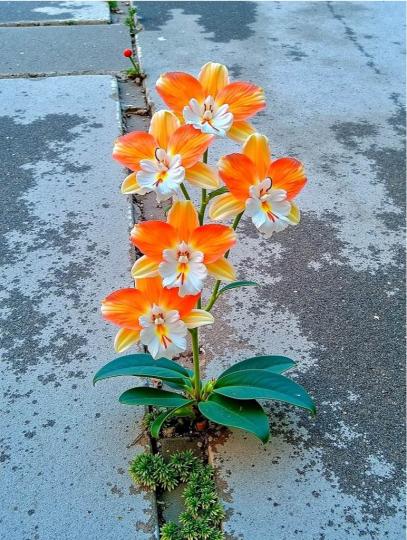 08ABE995-2AB3-4534-8E5A-453F09C27A04-48905-000004B775D61254