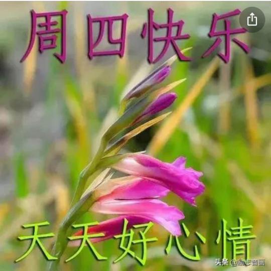 08B7F88D-9720-499A-BA67-2BFE55B36B9D-1822-00000B4A2C3D3619
