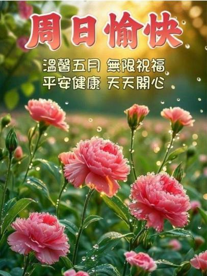 0B380205-F592-41D0-B0D3-BBFA787DB7D4-7441-000000BADA997C26