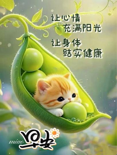 0C0510DB-1BB9-4813-ACA1-101DA4F727DD-34539-000003DD98BCFF20
