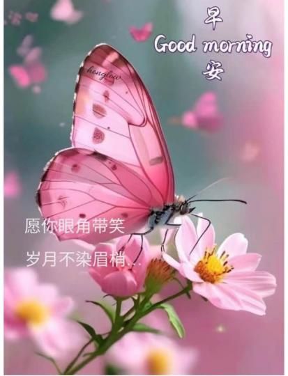 0C81266B-F485-4CAC-985F-5981336A79C1-56966-00000612294D3A06