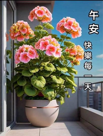 0C94995E-122F-4D8D-B158-4CB114405F43-13591-0000018BB262FA57