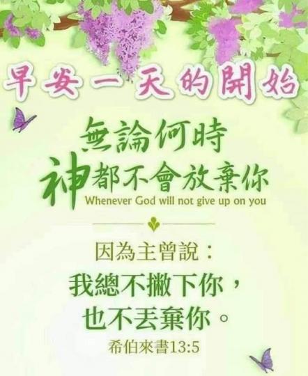 0CE18B67-450A-454A-9204-FDC859C502FA-5158-0000008771352C24