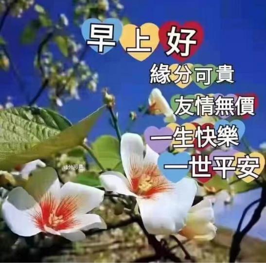 0D9FFFDD-AD89-4A89-BD4D-5020F0152109-16617-000001D70E942FAE