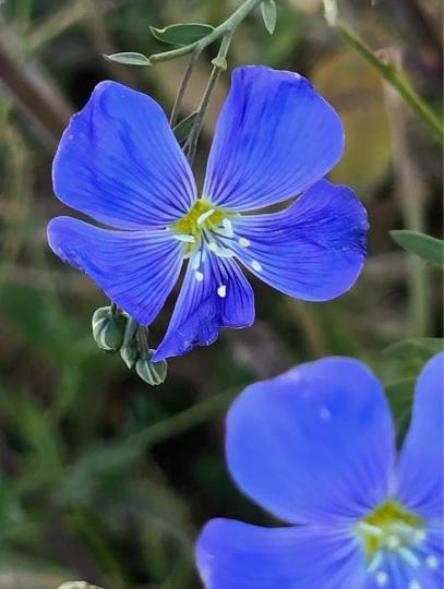 0E6E5F2F-AEB2-49F6-BF80-4F97C5F8E740-6891-000017356B461F57