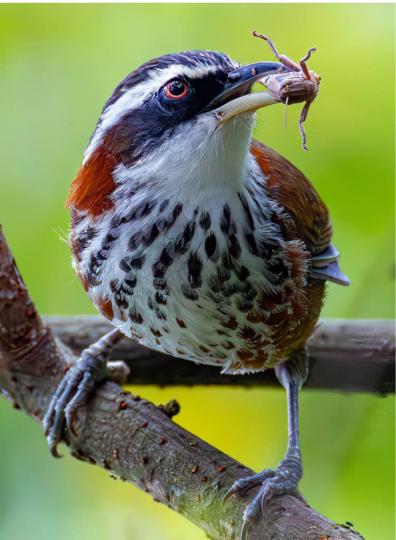 0EE1C543-B477-4513-9E89-6C3FFC18B7CE-95099-0000078C830E089E