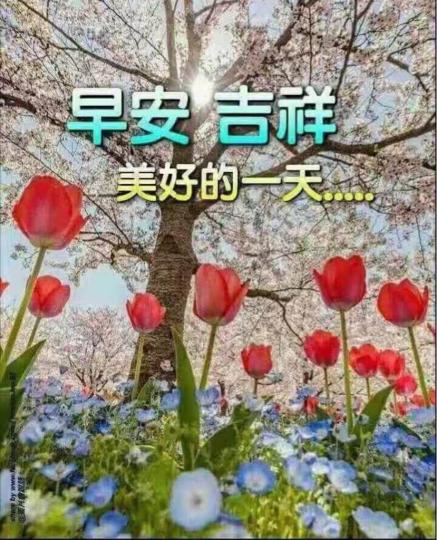 0FA86C84-1AFE-48D6-AC06-1F5EAE85F643-2065-00000122CB1B0B5F