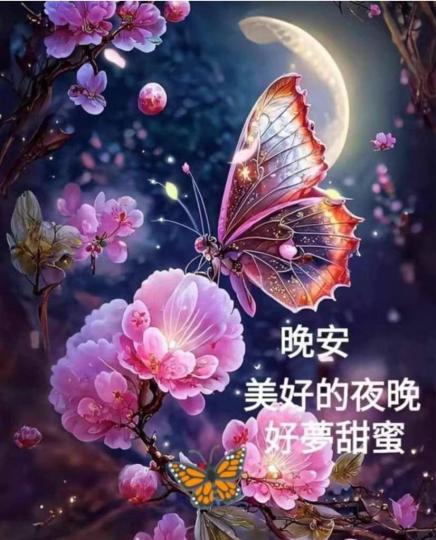 10BDCED2-3FFF-4635-AB21-83C04A5F4C86-34445-00000335CD3DFEF5
