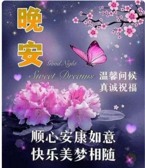 111C43FD-CB02-459E-AD0D-93ED09F260D0-61769-000011A48DB09B0C