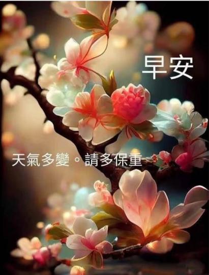 11627A87-E714-4891-B646-F43186DBC3F8-27898-0000030849F33A27