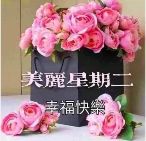 124CBE50-7A57-481A-A633-86B4B1BE653D-56686-00000643C29A1A7D