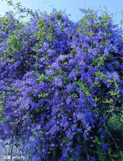 12DF85E4-86BA-4A72-8E20-6FB040A40370-62890-000005904ABB5681