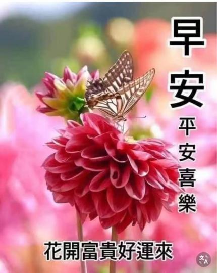 12E31661-08DF-4B3E-882D-D5B3AA8C111F-1505-0000003EB04E4811