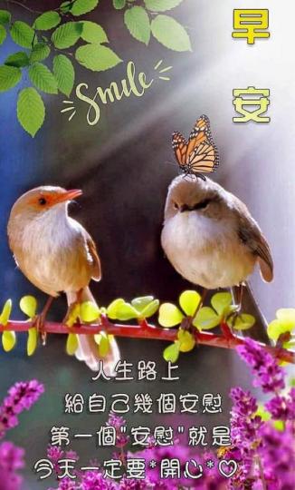 13839E9F-7356-434D-B78A-AE662BD040C1-13869-00000175F67C0EB3