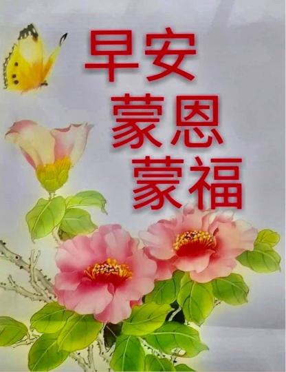 13DB8437-DEC4-4A42-9802-8EA60CD3A66C-44418-000004C5BEBCED87