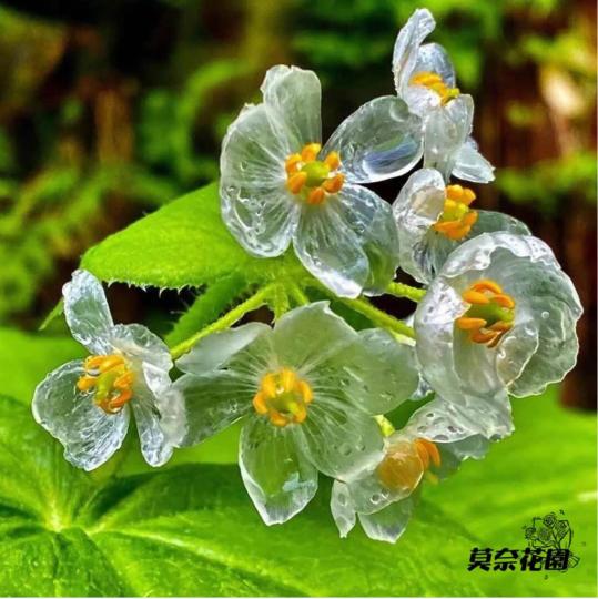 140B0059-C6BE-4C49-AB72-D239BCD84B03-71954-0000056979A41A91