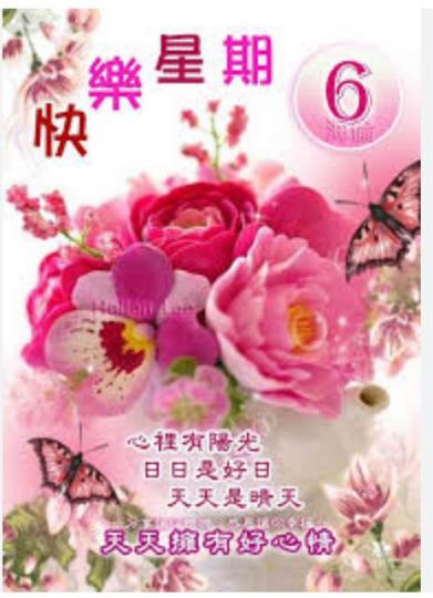 1538BB17-48CC-4665-9952-27A8E1867356-312-00000001A36BDD74