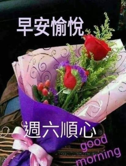 15891DE3-4DCF-4551-8BD5-3BEC95413627-4490-0000008AC349F17C