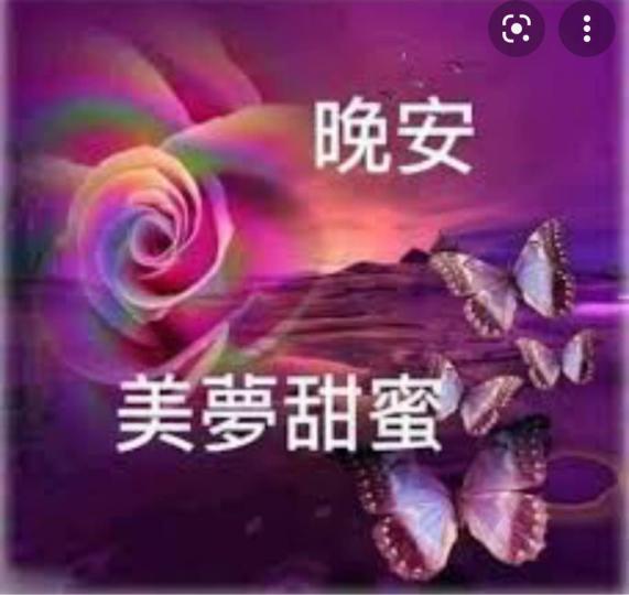 159E27B5-80E1-4C33-A269-0A2217F17695-44868-000005525B9128D1