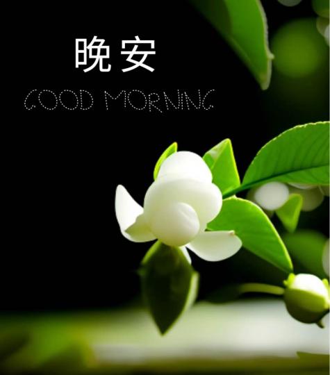 15B4D1D0-7D46-4DA7-8EC1-66FBF7C8AED7-77745-0000077BBA801B84