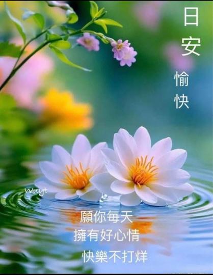 15EDA77D-17F9-4858-AE20-EE5E129E117F-1085-00000021B48D8B75