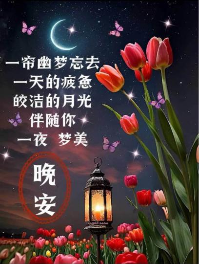 168A713D-65F7-4F3A-93D9-795E9C9AA7C4-52001-0000045A1FB29A52