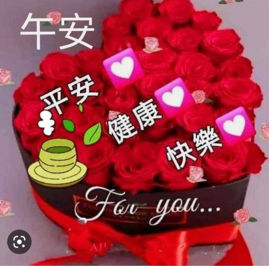 169869CD-C447-49B4-BD6E-556713F4E205-4177-00000073AEC5F621