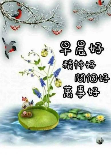 16A12CBC-9C2F-4689-80F1-13AD38FC2F9D-3919-00000200EB8553FB